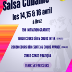 Stage de Salsa cubana (3 niveaux) + Pratiqua (Auditorium de l'Espace Simone Veil)